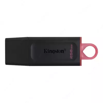 Флешка Kingston DTX 256 GB USB 3.2