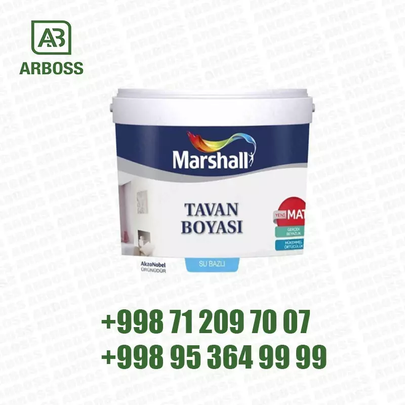 MARAHALL TAVAN  BOYASI 2.1 L