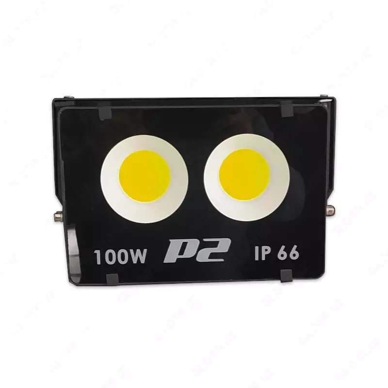 Прожектор LED PRIME P2 MY 100W (6000K) - мощный светодиодный прожектор