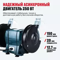   Станок точильный ALTECO BG 250-150