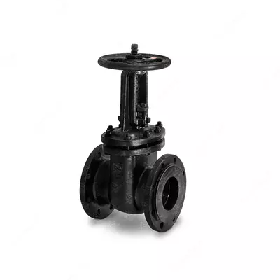 Quyma temir eshikli klapan 30ch6br Du-50 Ru-10