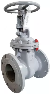 Darvoza valfi po'latdan 30s41nzh Du-50 Ru-16