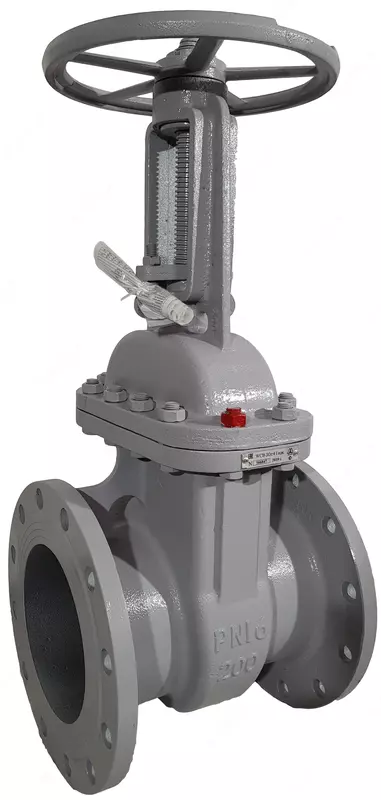 Darvoza valfi po'latdan 30s41nzh Du-50 Ru-16 - {0} so'mdan