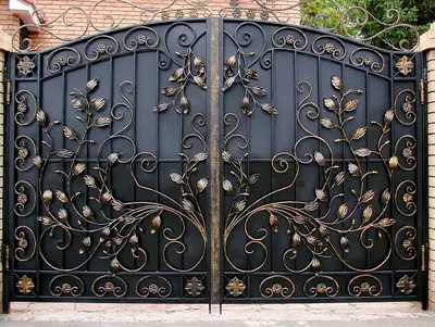 Темир дарвоза