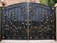  Темир дарвоза - 