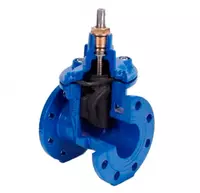 DN-80 PN-16 Xitoy rezina xanjarli eshik valfi