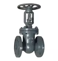 Chelik eshik valfi 30s41nzh DU-500 RU-16 Rossiya