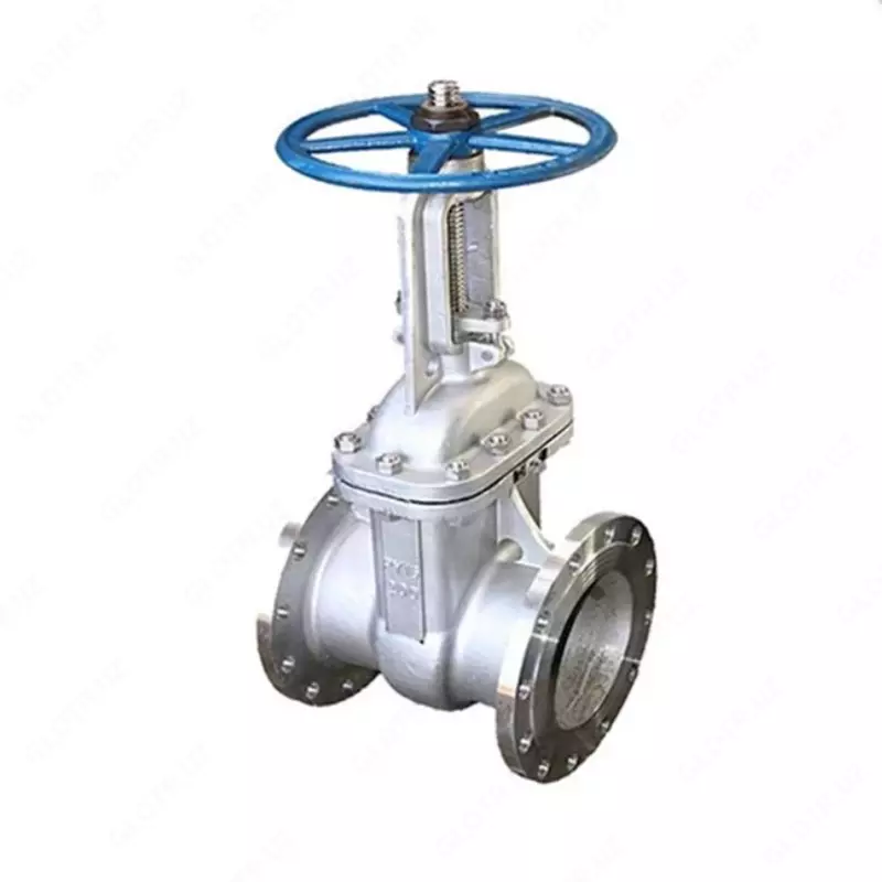 Zanglamaydigan polatdan yasalgan eshik valfi 30nzh41nzh DU-200 RU-16