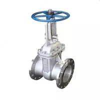 Zanglamaydigan polatdan yasalgan eshik valfi 30nzh41nzh DU-200 RU-16