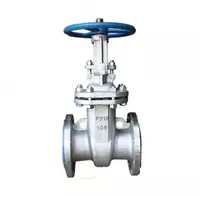  Zanglamaydigan polatdan yasalgan eshik valfi 30nzh41nzh DU-200 RU-16 - 