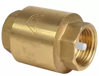  Обратный клапан муф.пружинный ДУ-20 Китай - 