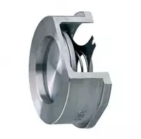 Tekshirish valfi NZH DU-150 RU-16 Xitoy - 2 433 333 so'm