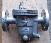 Flanesli kondensat drenaji D 32 (Xitoy)