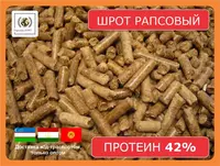 Шрот рапсовый (42% протеин на АСВ) ж/д-доставка
