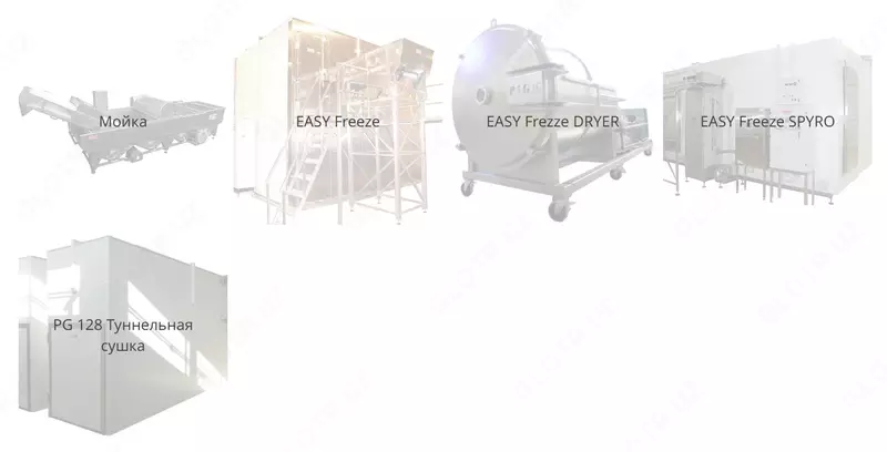 PIGO-meva va sabzavotlarni muzlatish