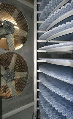 PIGO - шоковая заморозка