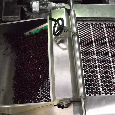 сушка и сублимация фруктов и овощей - от 2 400 636 000 сум / шт.