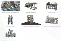 MEVA VA SABZAVOTLARNI QAYTA ISHLASH UCHUN FBR ELPO LINIYALARI