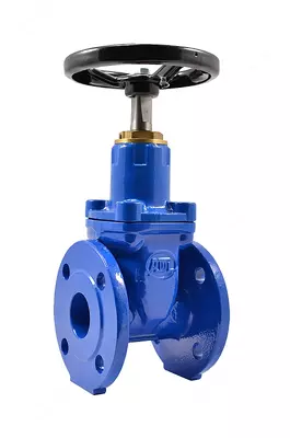 Задвижка чугунная, аналог 30ч 39р, с обрезиненным клином марки SWEM Д65 РУ16