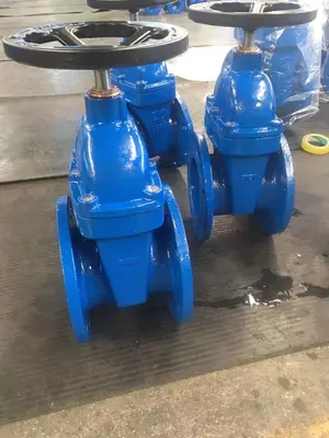 Задвижка чугунная, аналог 30ч 39р, с обрезиненным клином марки SWEM Д200 РУ16