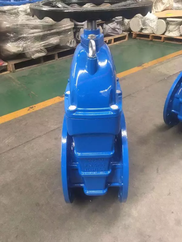 Задвижка чугунная, аналог 30ч 39р, с обрезиненным клином марки SWEM Д300 РУ16