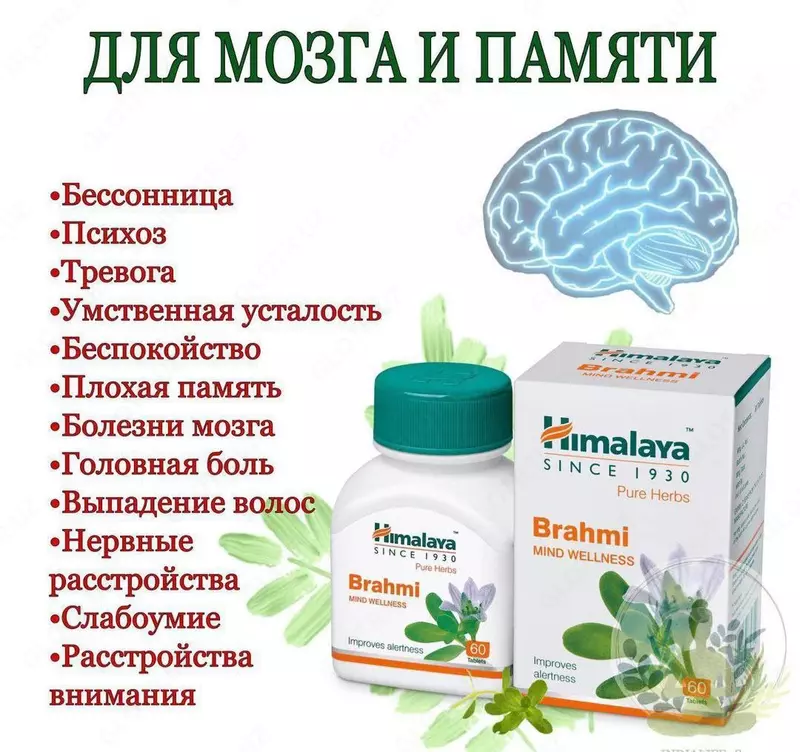 Брами (Brahmi) Himalaya для мозга и памяти