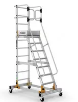 Промышленная лестница CAGSAN RD0012-1