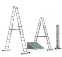 Двухсекционная телескопическая лестница CAGSAN TA002 -003-004.