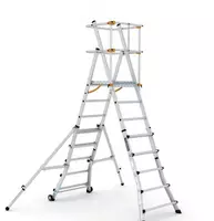 Телескопическая лестница-платформа TelePro TP250-TP200.