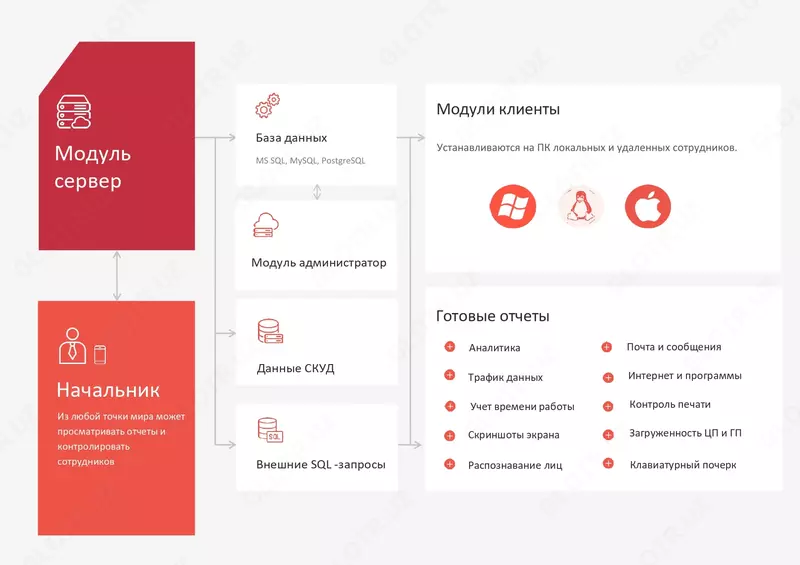 Стахановец - DLP система контроля сотрудников организации - от {0} сум