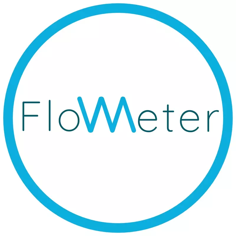 Flowmeter