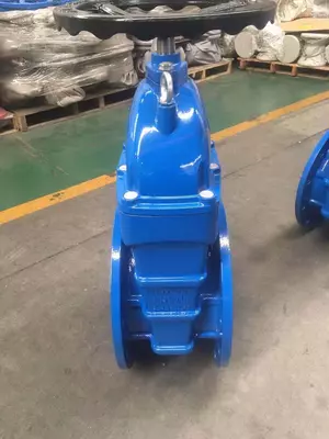 Задвижка чугунная