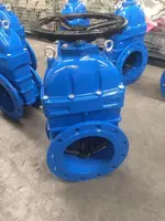 Maqsad va qamrov SWEM