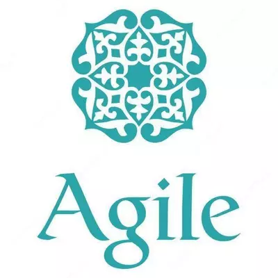 Инфракрасный излучатель Agile BLS-8206T