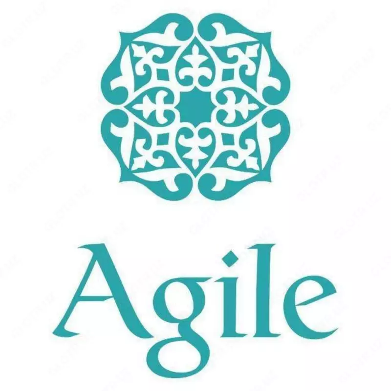 Инфракрасный излучатель Agile BLS-8206T