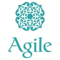 Инфракрасный излучатель Agile BLS-8206T