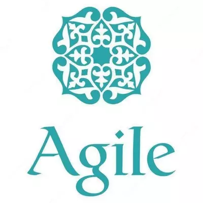 PTZ-камера AGL-1012-HU2S Только в розницу