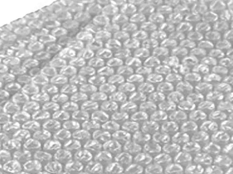 пузричны плйонка