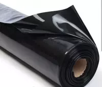 qora film - 17 250 so'm