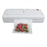 Бескамерный вакуумный упаковщик "DZ-300A"