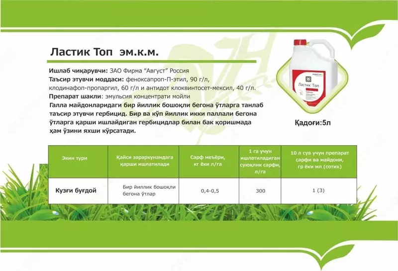 Ластик топ Селективный гербицид для борьбы с однолетними злаковыми сорняками в посевах пшеницы.