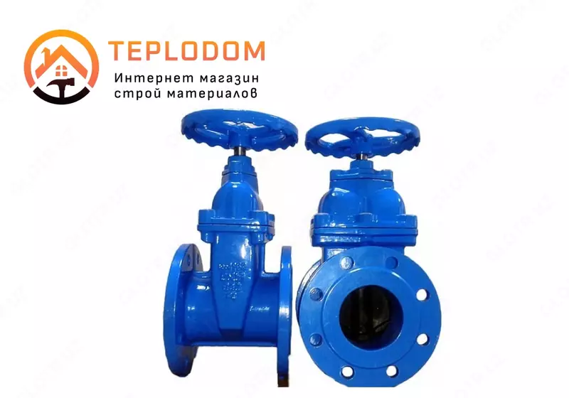 Задвижка DN50 PN10-16 Чугун GGG40