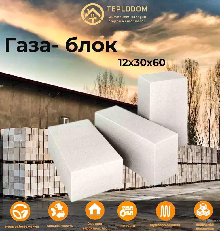Газаблок 12*600*300