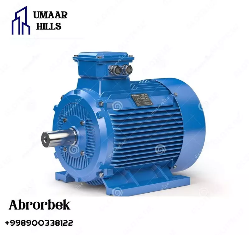 Электродвигатель Eletrodvigatel