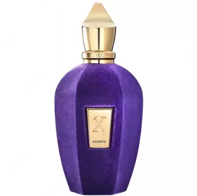Парфюмерная вода XERJOFF ACCENTO 100ml UNISEX - 2 153 381.4 сум / шт.