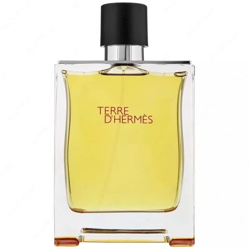 Туалетная вода HERMES TERRE DHERMES 100ml MEN