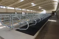 Galvanizli qavatlar (chorvachilik fermalari uchun)