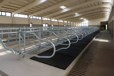 Galvanizli qavatlar (chorvachilik fermalari uchun)