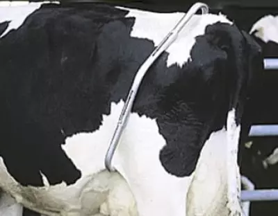 оцинкованный