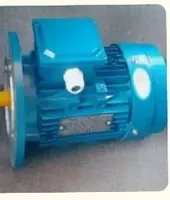 Dvigatel. motor. Lebydka. - 1